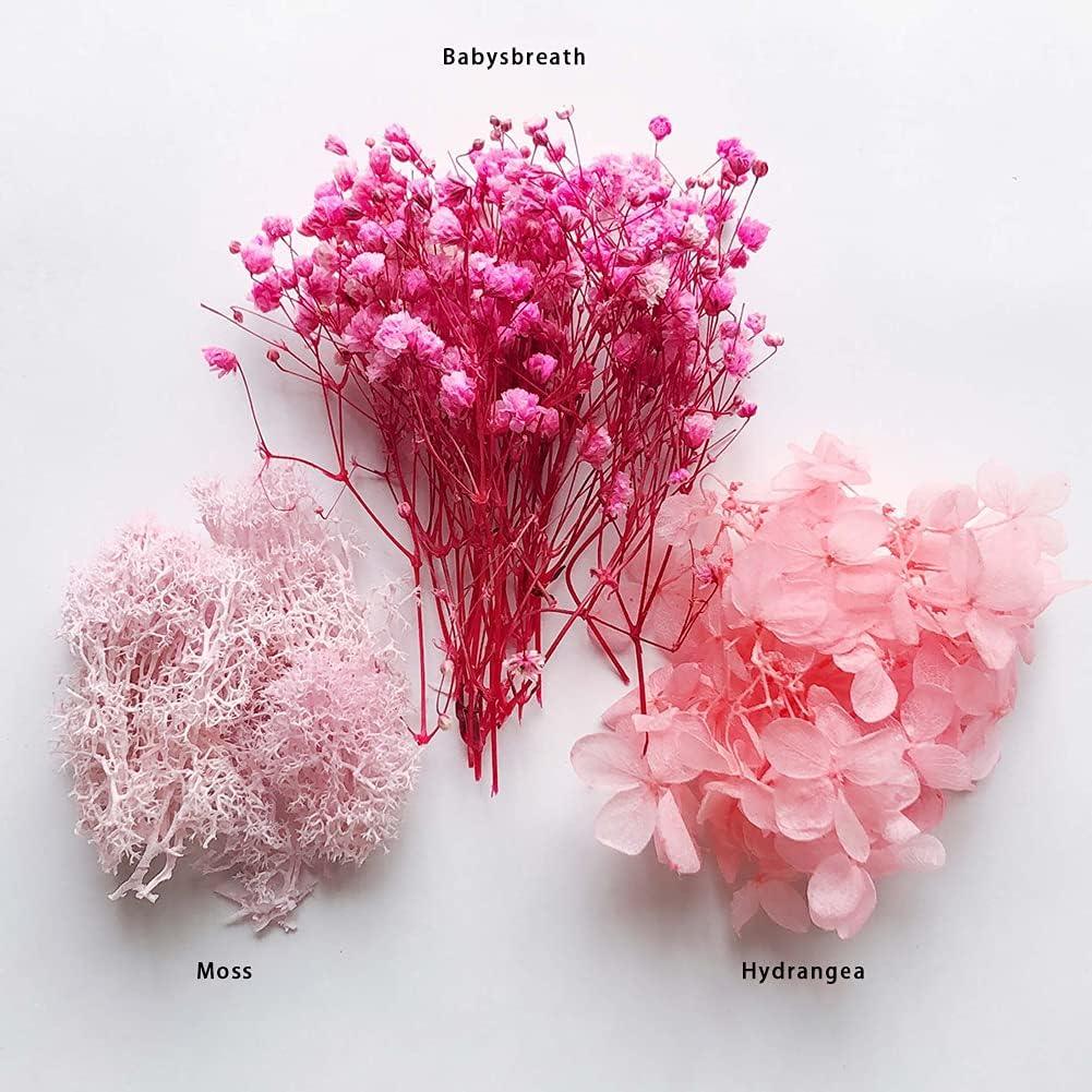 Dry Flower Box Mg2059