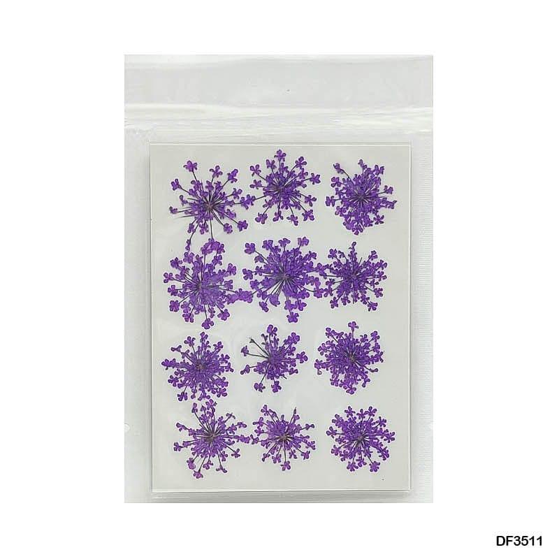 Dried Flower for Resin Dry 12 Flower Sheet Df35-11