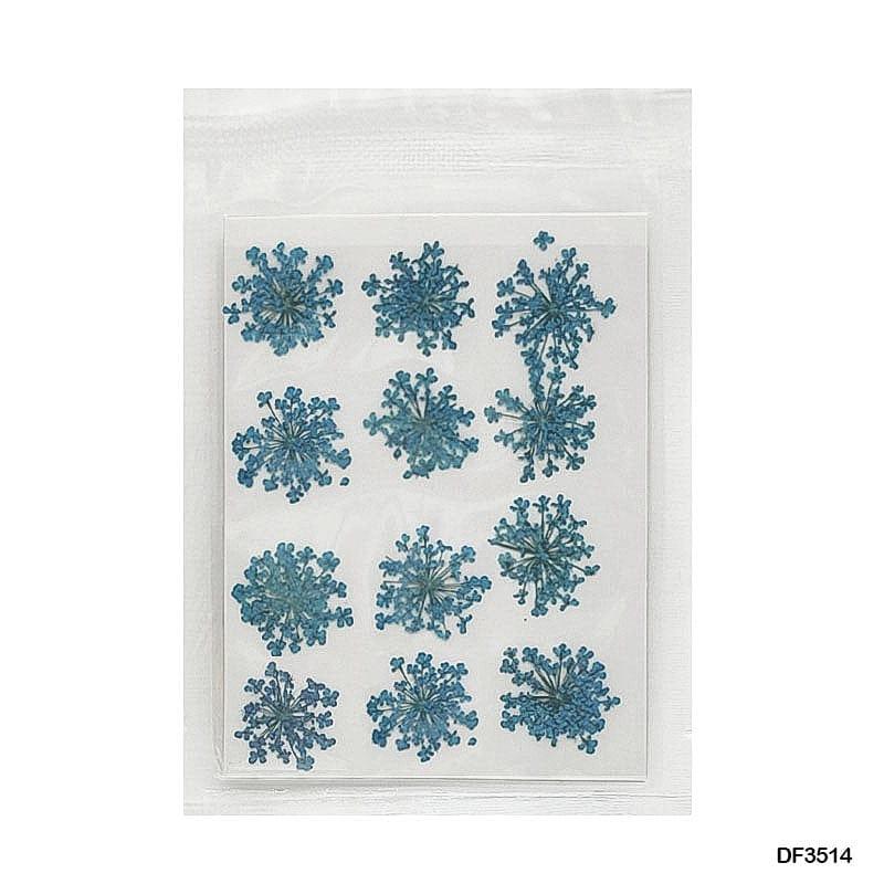 Dried Flower for Resin Dry 12 Flower Sheet Df35-14