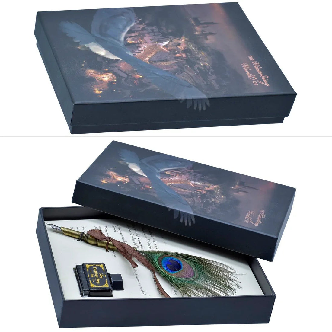 Feather Picok Fountain Pen Gift Box With JB19-J