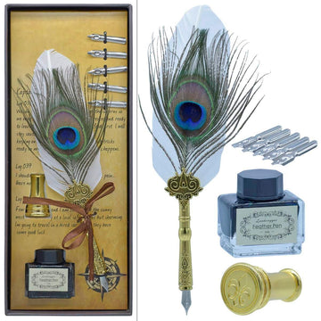 Feather Picok Fountain Pen Gift Box Set Of 8Pics JB19-M