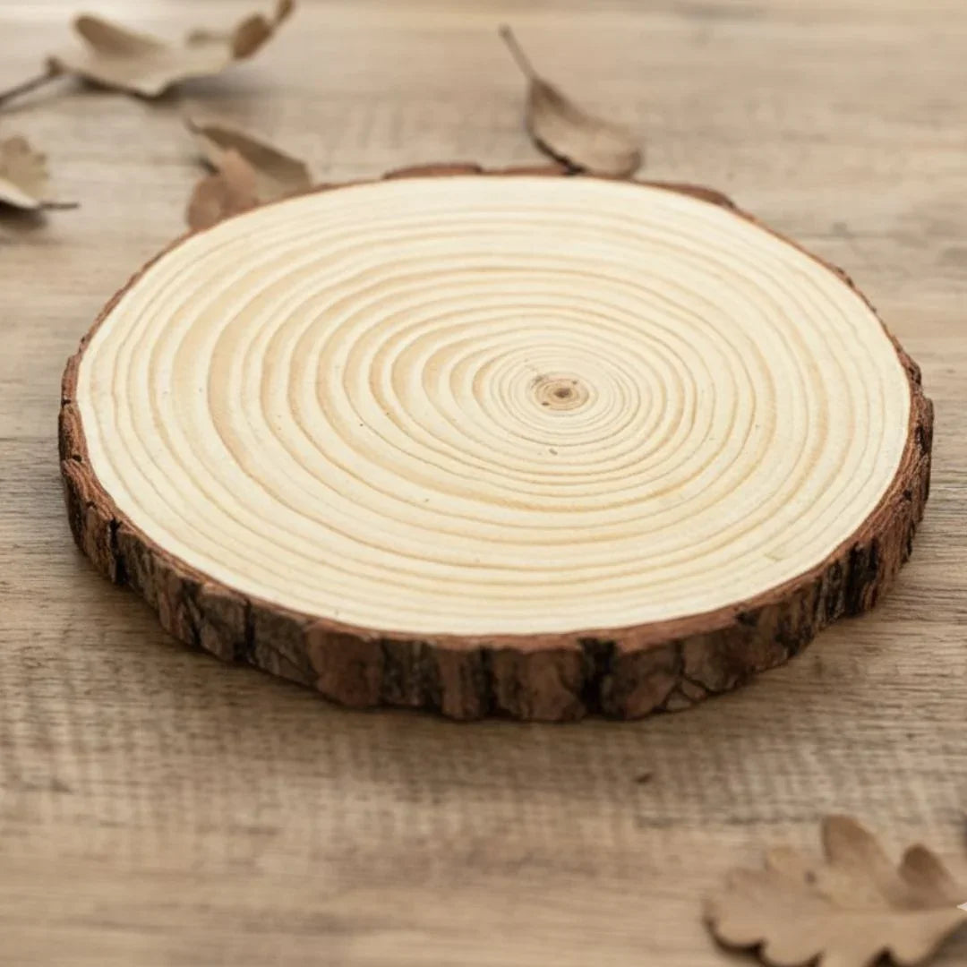 Wooden Slice Round 22-25X2Cm (Wsr2225)