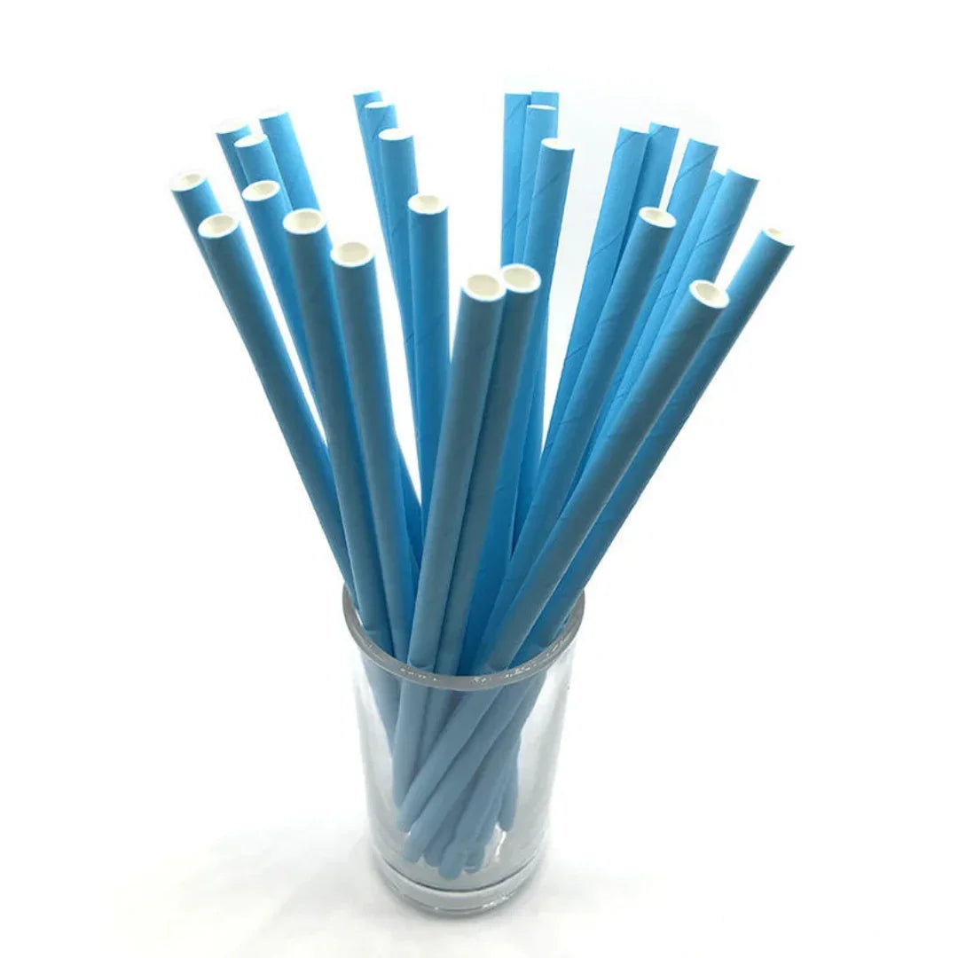 Paper Straw Plain 25Pcs (Mg231-7)