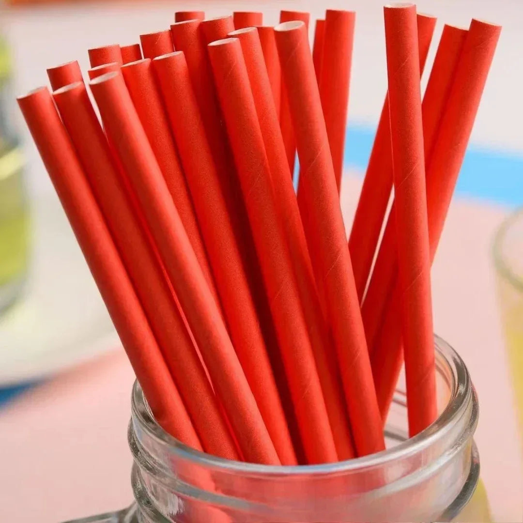 Paper Straw Plain 25Pcs (Mg231-7)