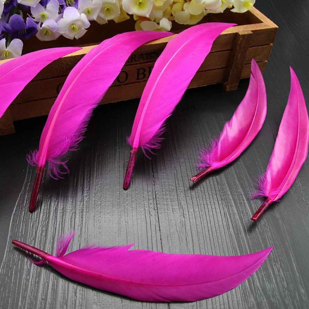 Feather Hard Small Dark Pink (Fhmdp) (12Pcs)