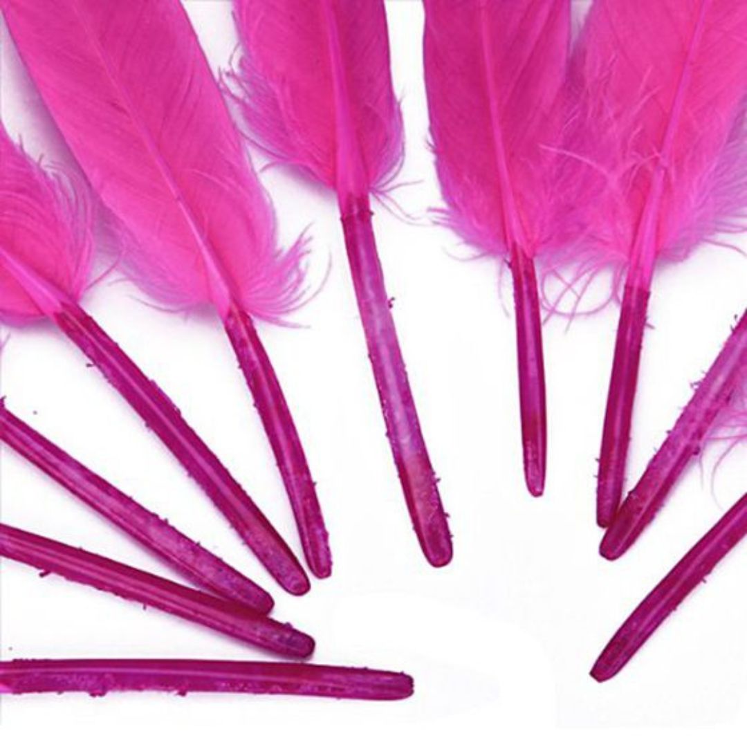 Feather Hard Small Dark Pink (Fhmdp) (12Pcs)