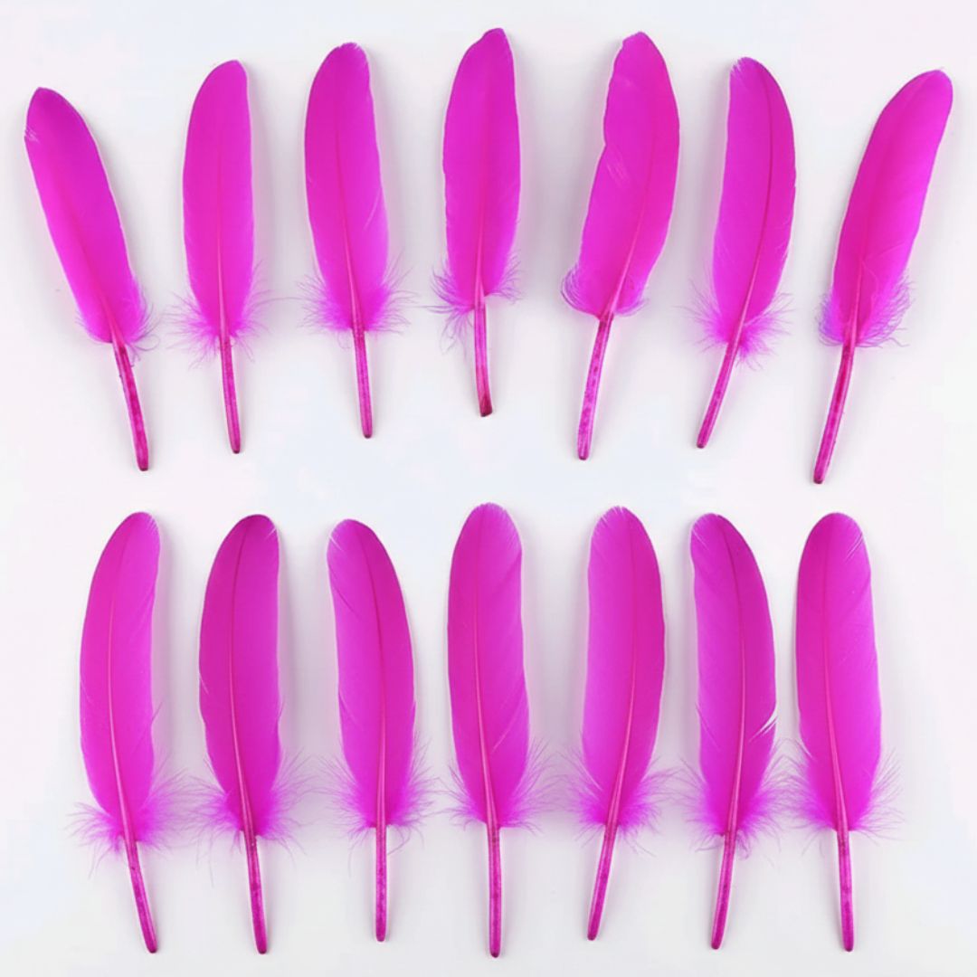 Feather Hard Small Dark Pink (Fhmdp) (12Pcs)