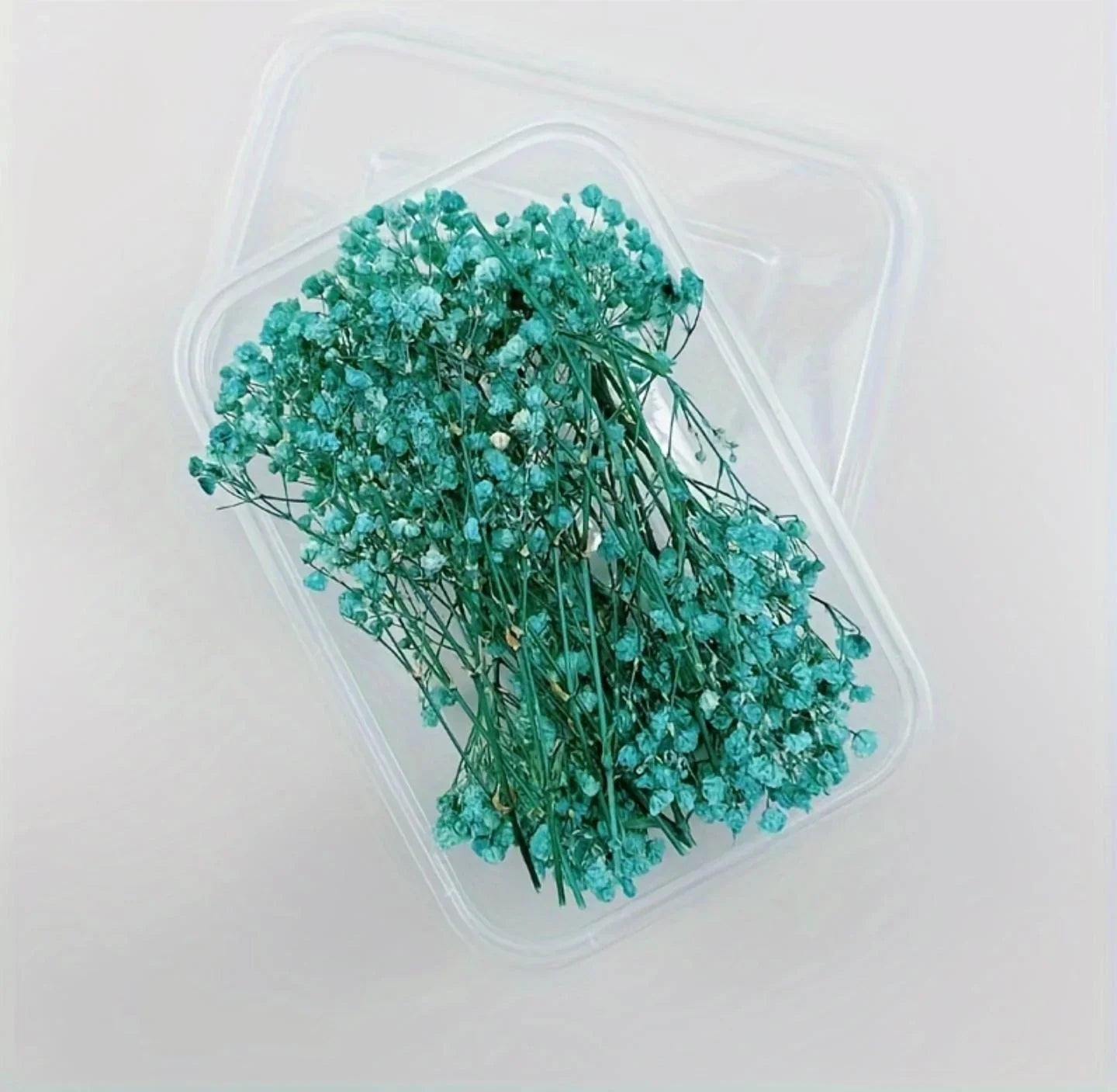 Dry Flower Box Mg20592