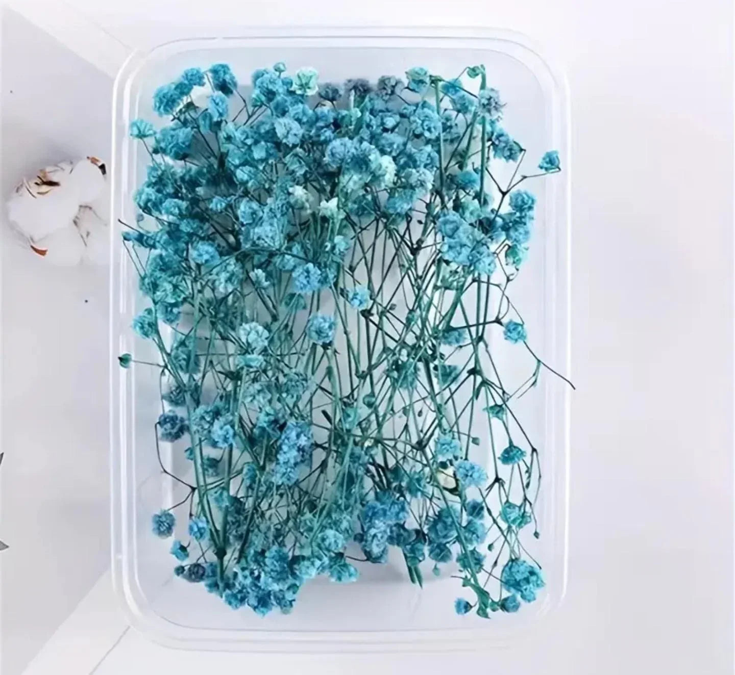 Dry Flower Box Mg20592