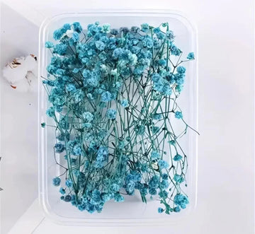 Dry Flower Box Mg20592