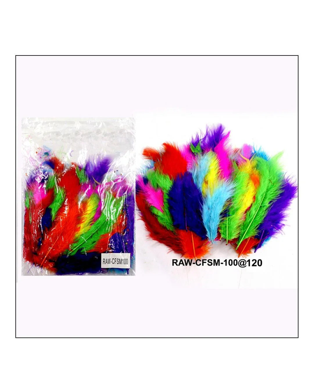 Craft Feather Small 100Pcs Raw-Cfsm100