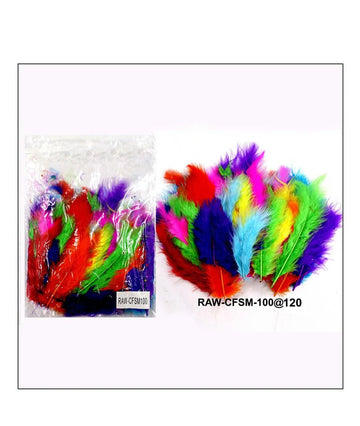 Craft Feather Small 100Pcs Raw-Cfsm100