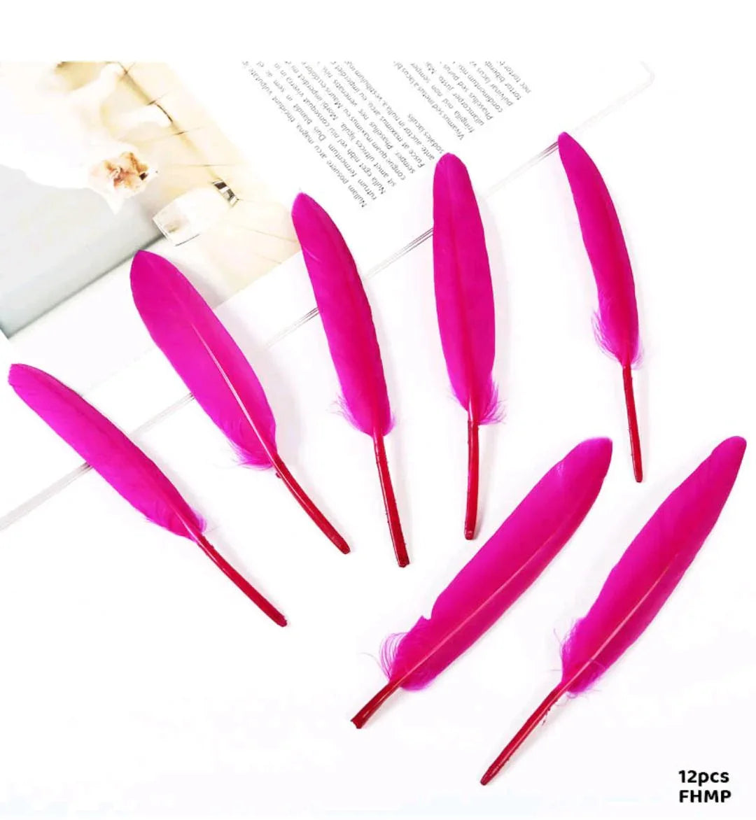 Feather Hard Small Pink (Fhmp) (12Pcs)