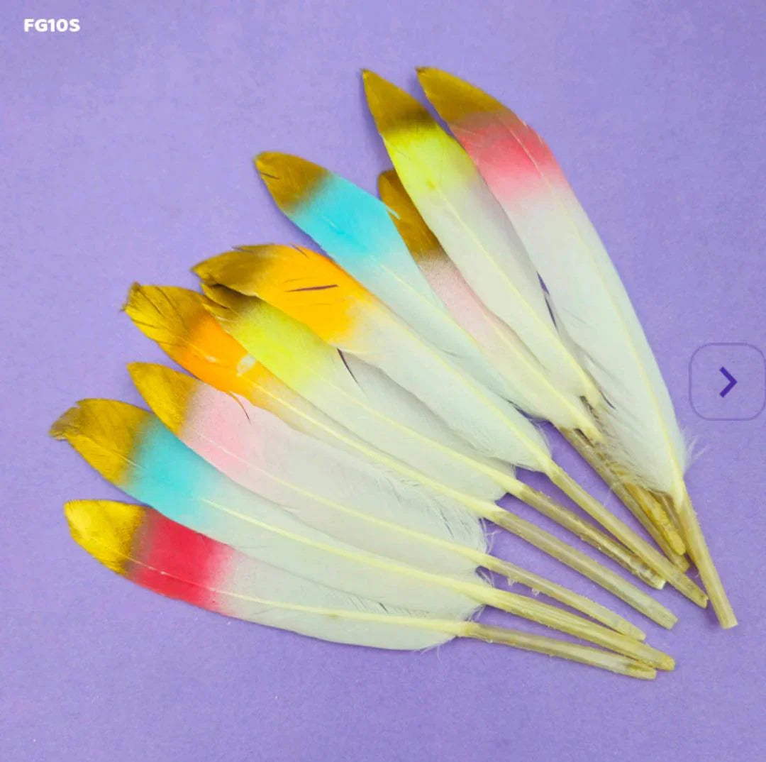 Feather Shaded Glittered Multi 10Pcs Fg10S