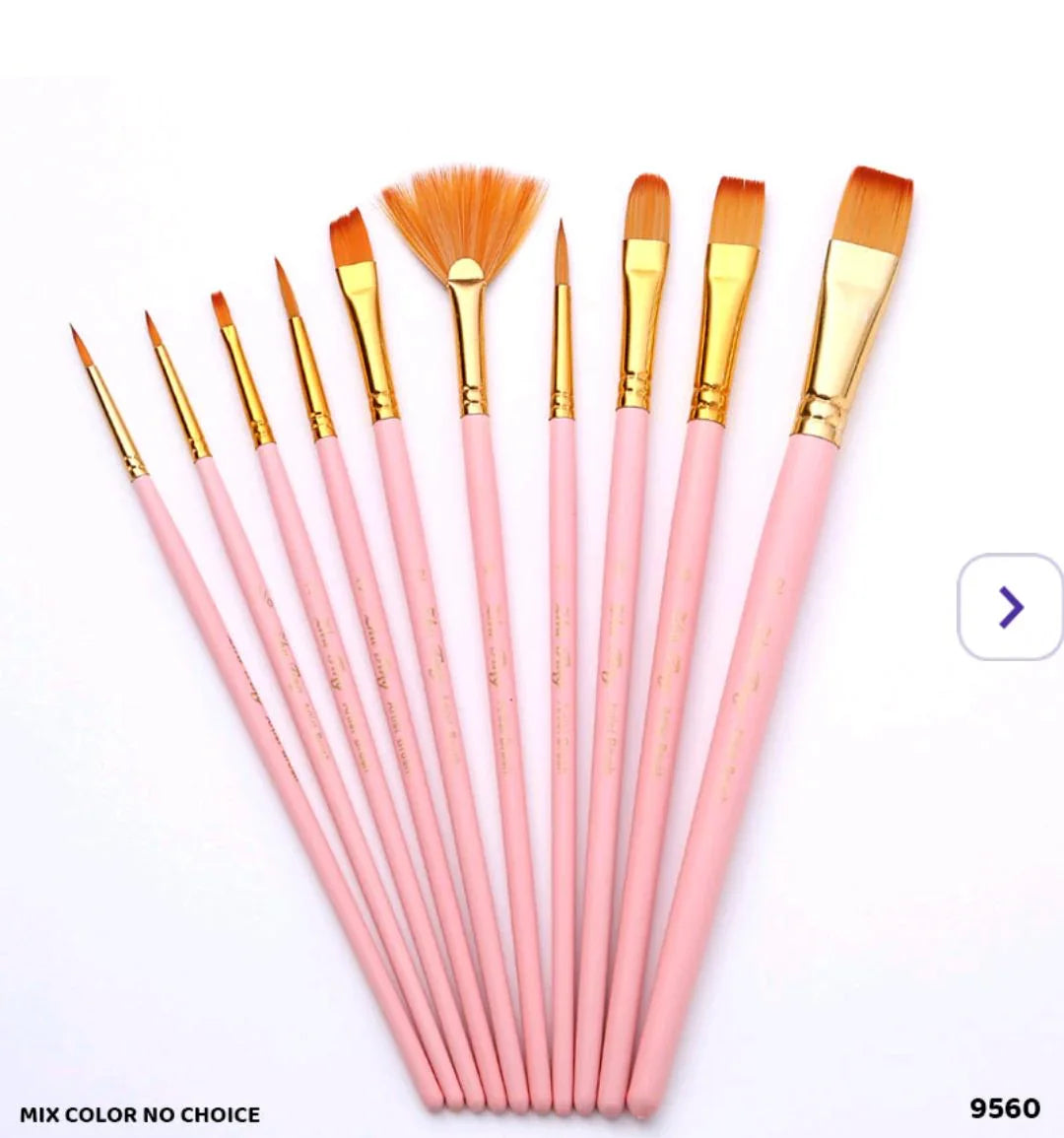 9560 10Pc Paint Brush