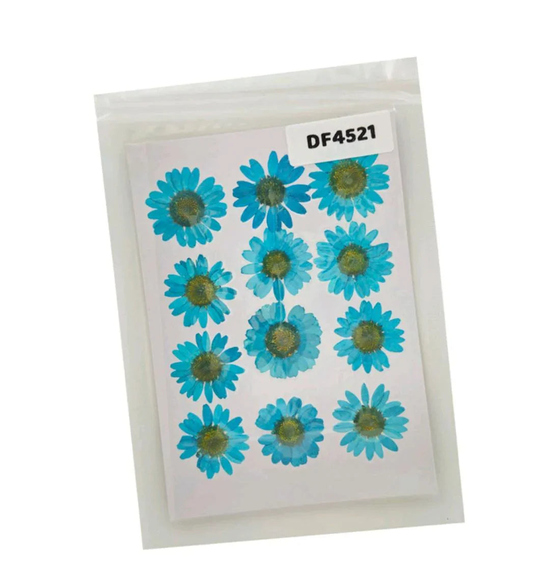Df45-21 Dry 12 Flower Sheet