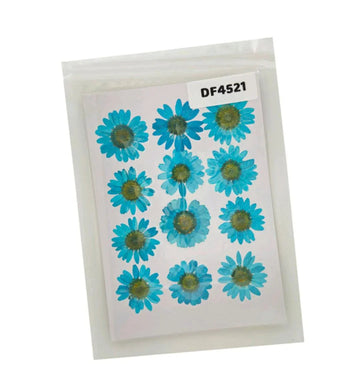 Df45-21 Dry 12 Flower Sheet