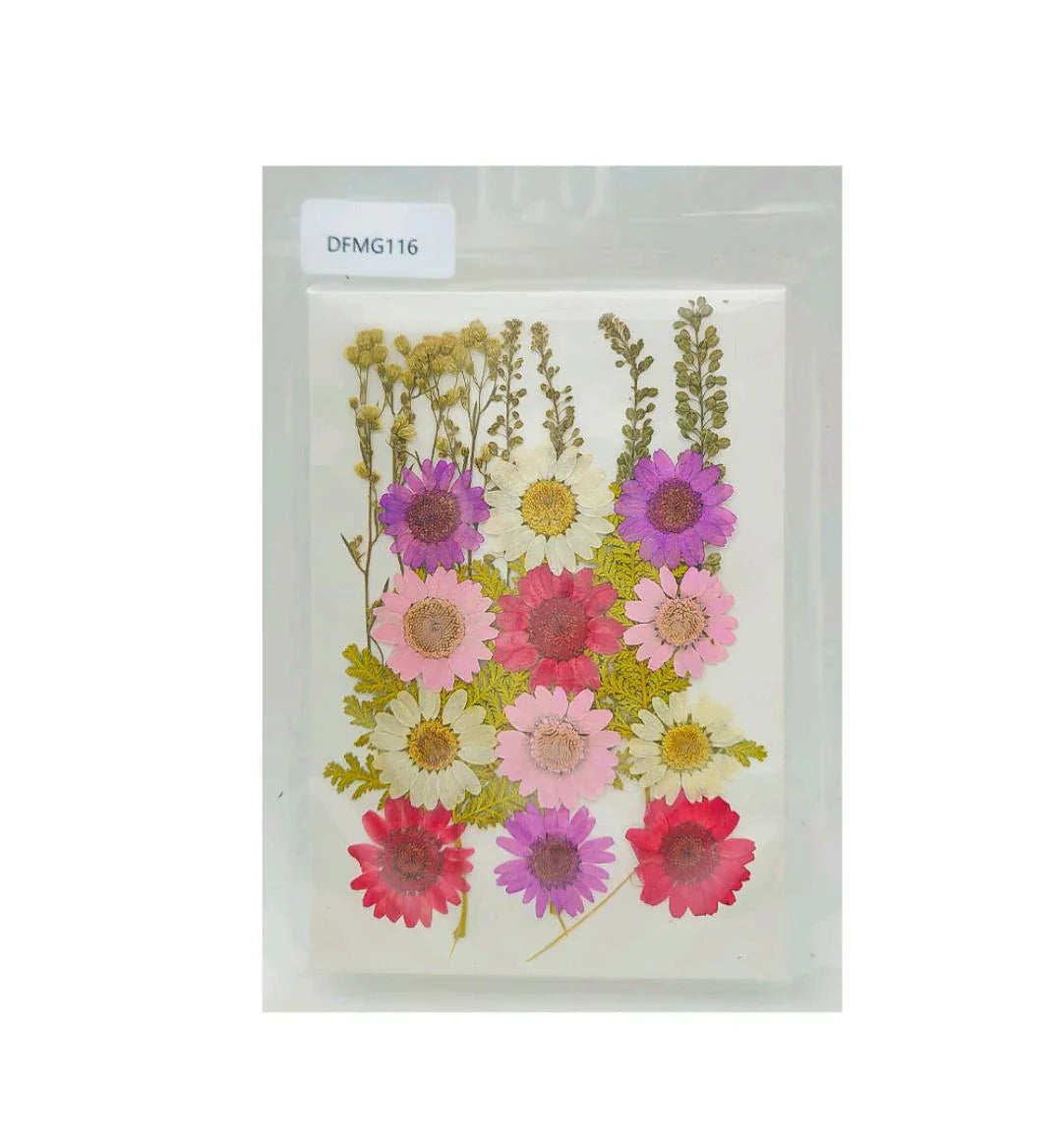 Dfmg116 Dry Flower Sheet