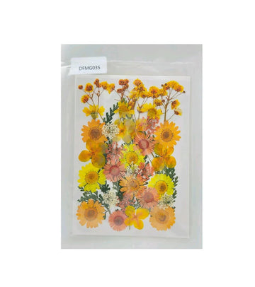 Dfmg035 Dry Flower Sheet