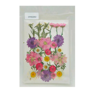 Dfmg002 Dry Flower Sheet