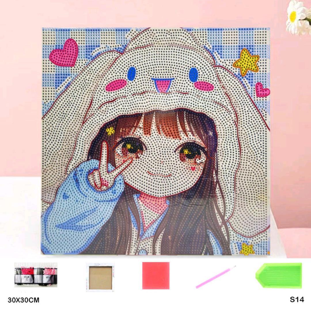 Diamond Painting Diy Kit (S14) 30X30Cm