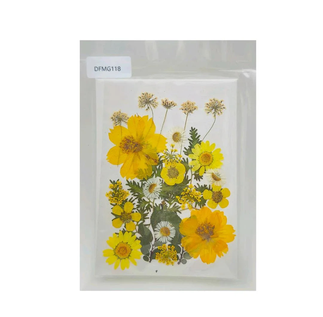 Dfmg118 Dry Flower Sheet