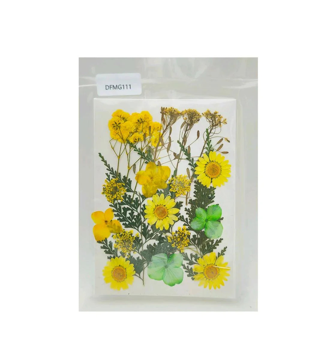 Dfmg111 Dry Flower Sheet