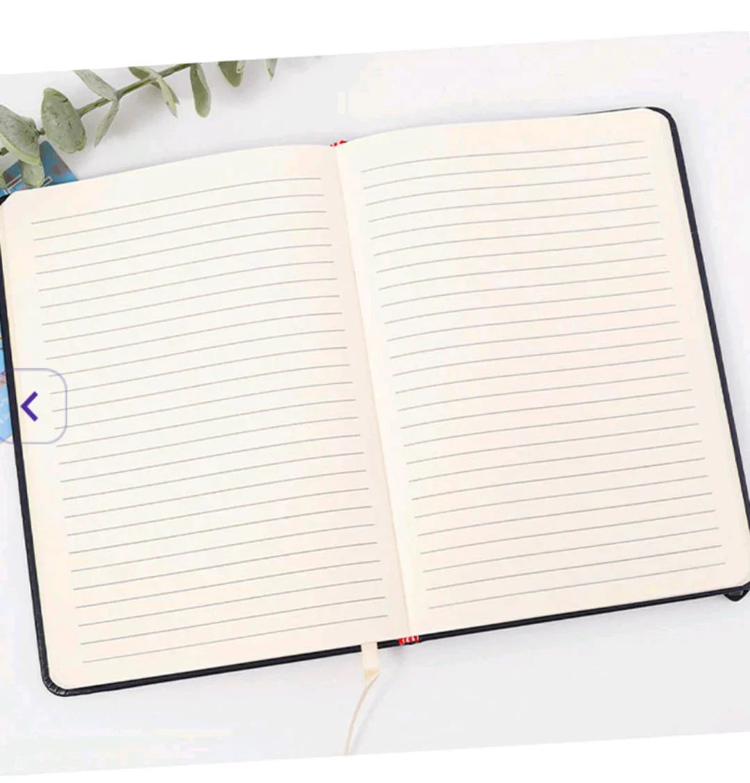 Nc5069 A5 Diary
