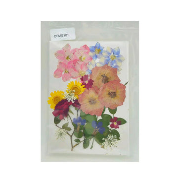 Dfmg101 Dry Flower Sheet