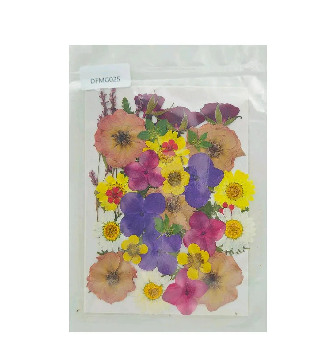 Dfmg025 Dry Flower Sheet