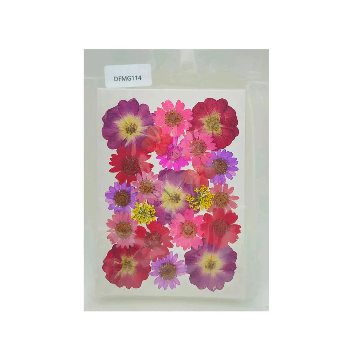Dfmg114 Dry Flower Sheet