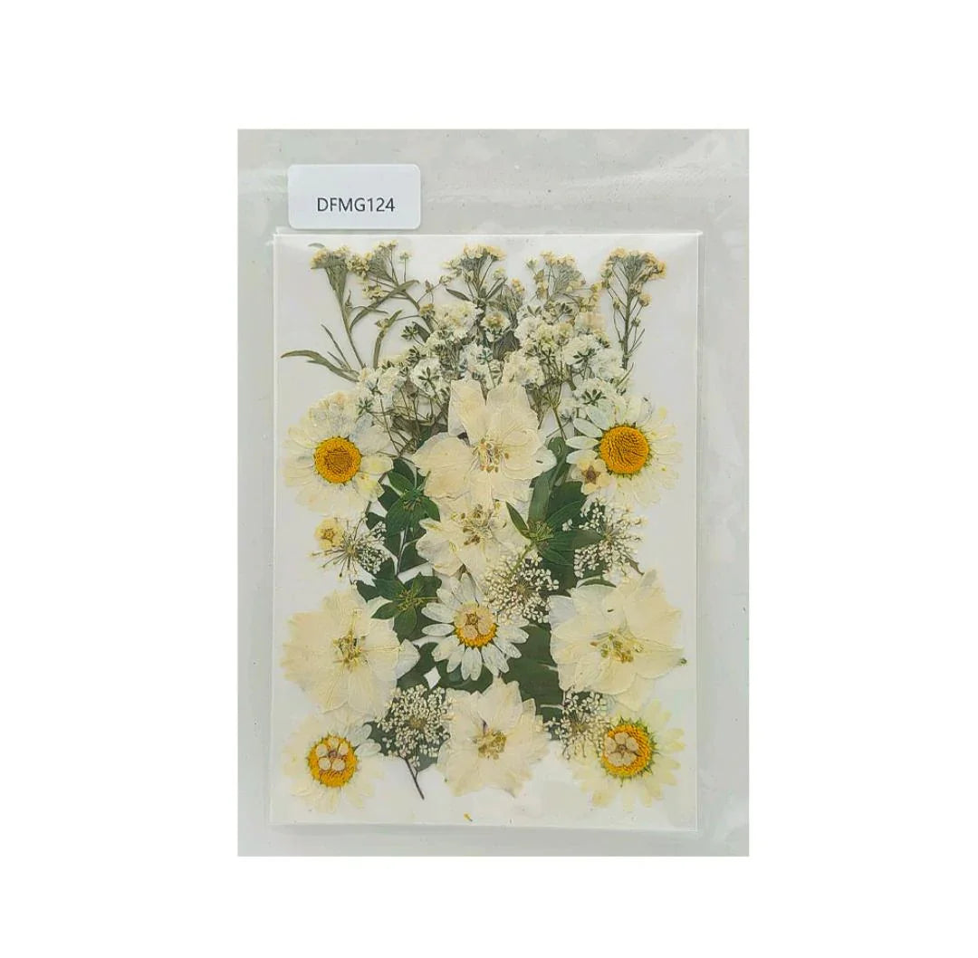 Dfmg124 Dry Flower Sheet