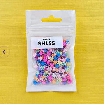 Shl55 Shakers Diy Beads 10Gm