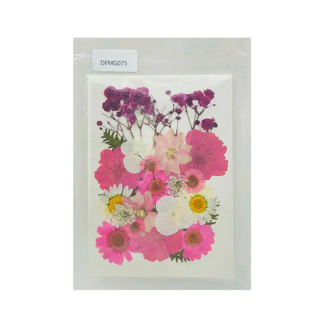Dfmg075 Dry Flower Sheet