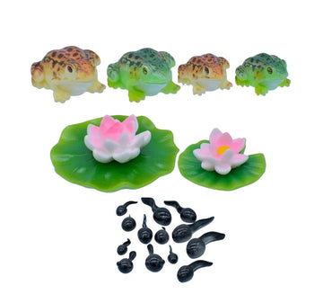Miniature Frog Lack 9 Pcs Set C1577-A