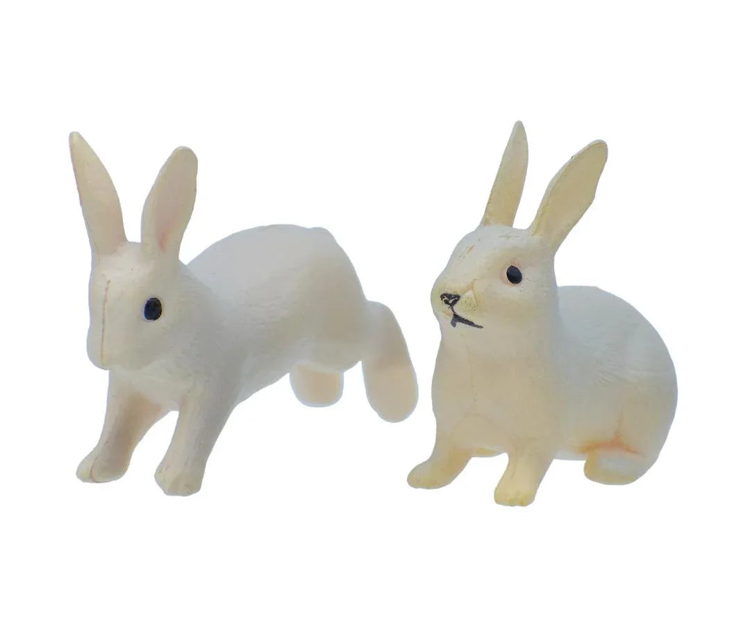 Miniature Rabbits Set Of 2 Pics C0834-A