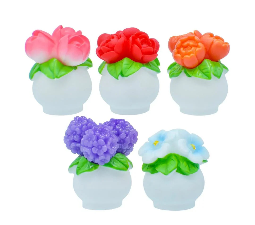 Miniature Flower Pot Rose 5 Pcs Set C1510-A