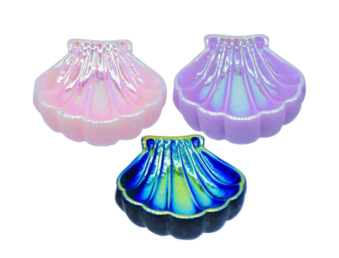 Miniature Large Solorful Shells 6 Pcs Set C2050-A