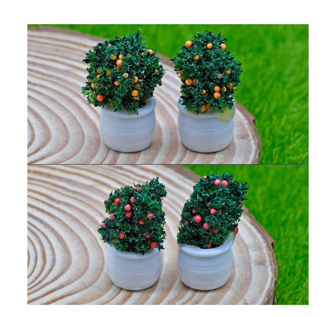 Artificial Miniature Fruit Pot 2 Pcs CT010-TT