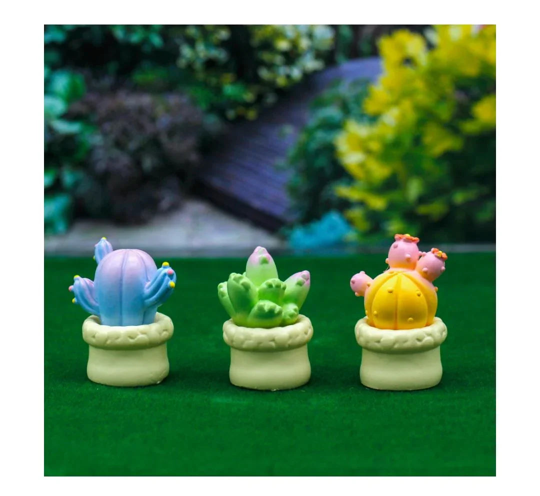 Miniature Model Cactus Plant 3Pcs Set C1299-13/15/17 C1183-C