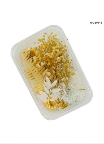 Dry Flower Box Mg20513