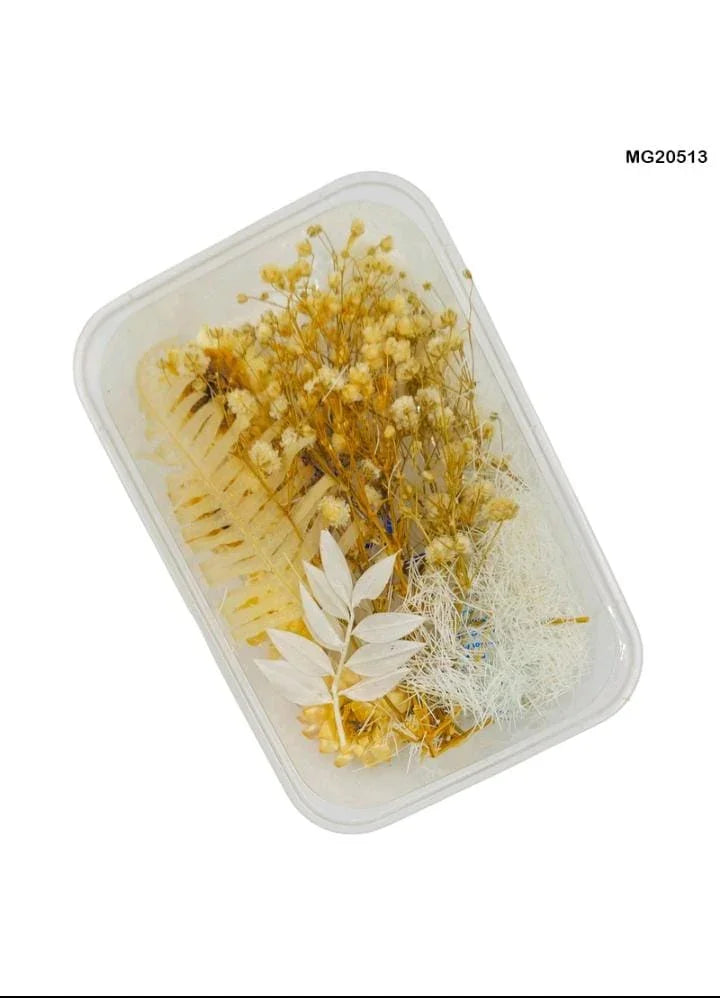 Dry Flower Box Mg20513