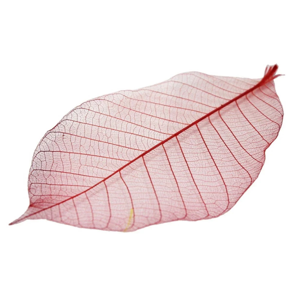 jags-mumbai Artificial Flower Dried Veins Leaf LF5X25