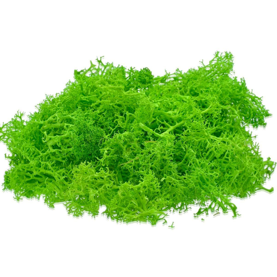 jags-mumbai Artificial Grass Jags Reindeer Moss 20 Grams Green JIM201