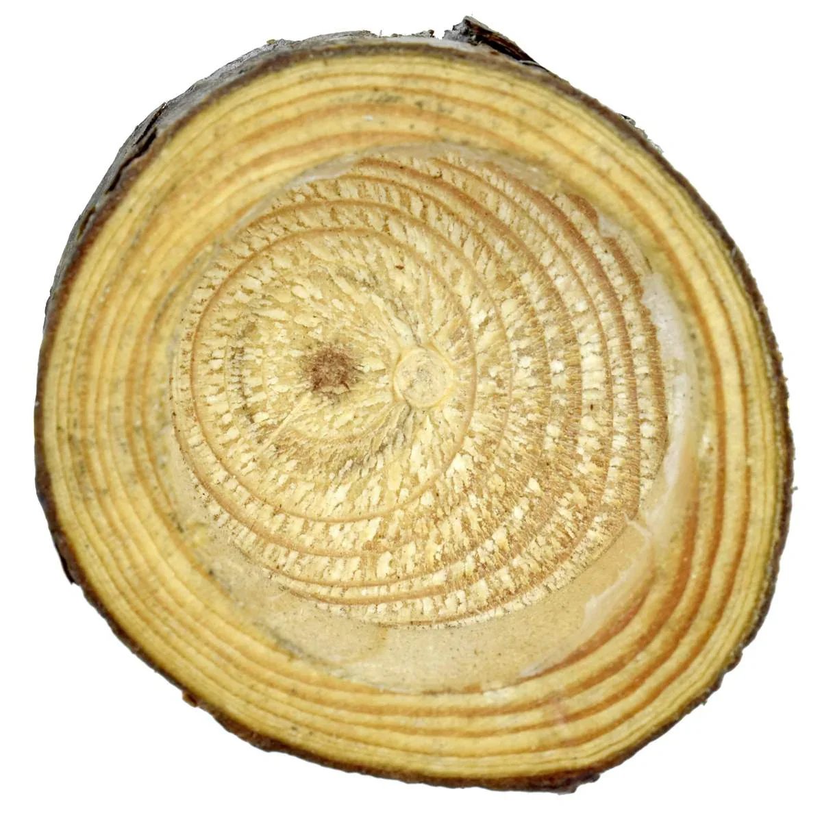 jags-mumbai MDF & wooden Crafts Wooden Candle (5x5cm)