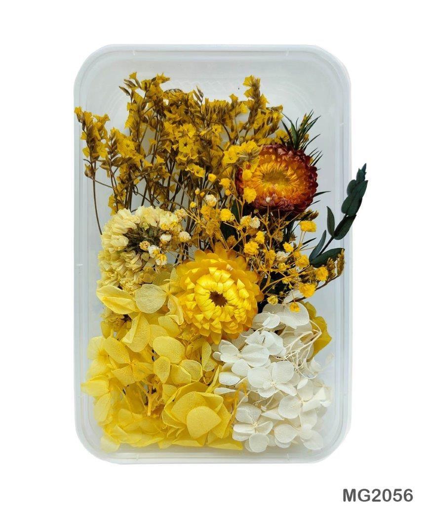 MG Traders Dried Flower Dry Flower Box Mg-205-6