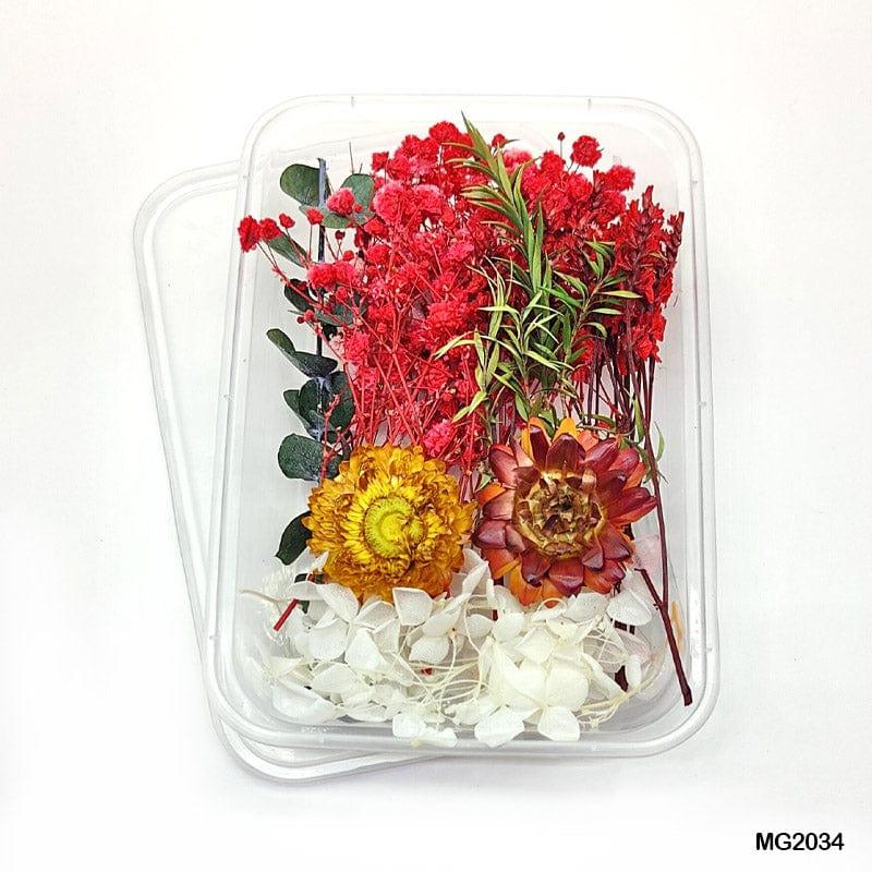 MG Traders 1 Dried Flower Dry Flower Box Mg2034