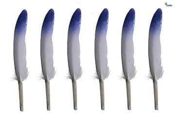 MG Traders Feather Feather Hard Mini 2 Shade 200Pc Blue