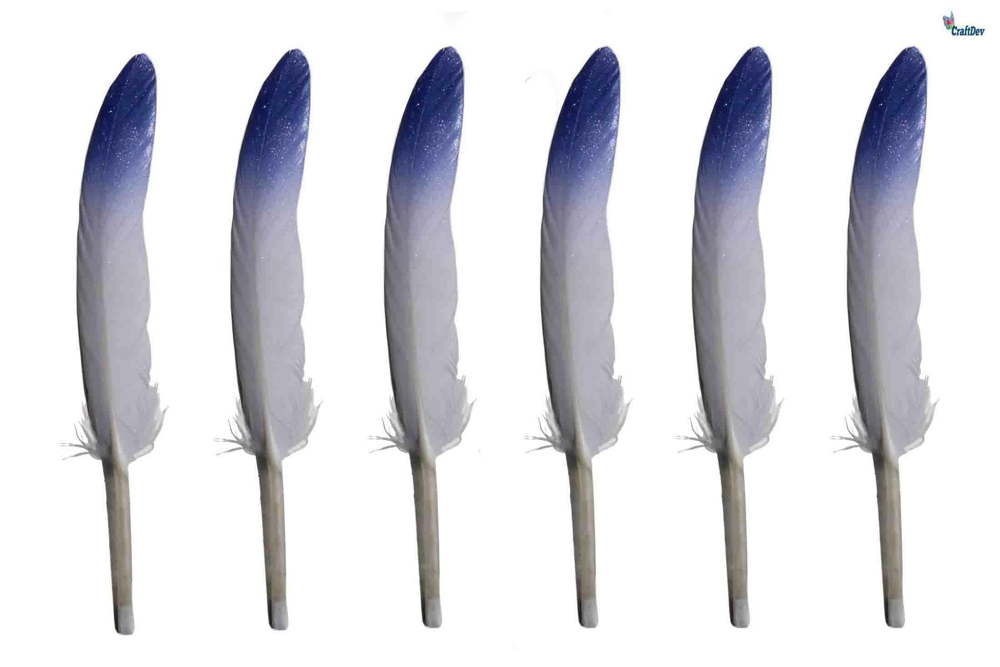 MG Traders Feather Feather Hard Mini 2 Shade 200Pc Purple