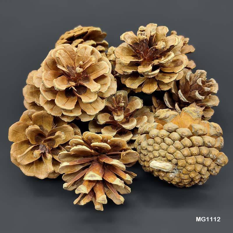 MG Traders MDF & wooden Crafts Wood Flower Pine Cone (Mg1112)